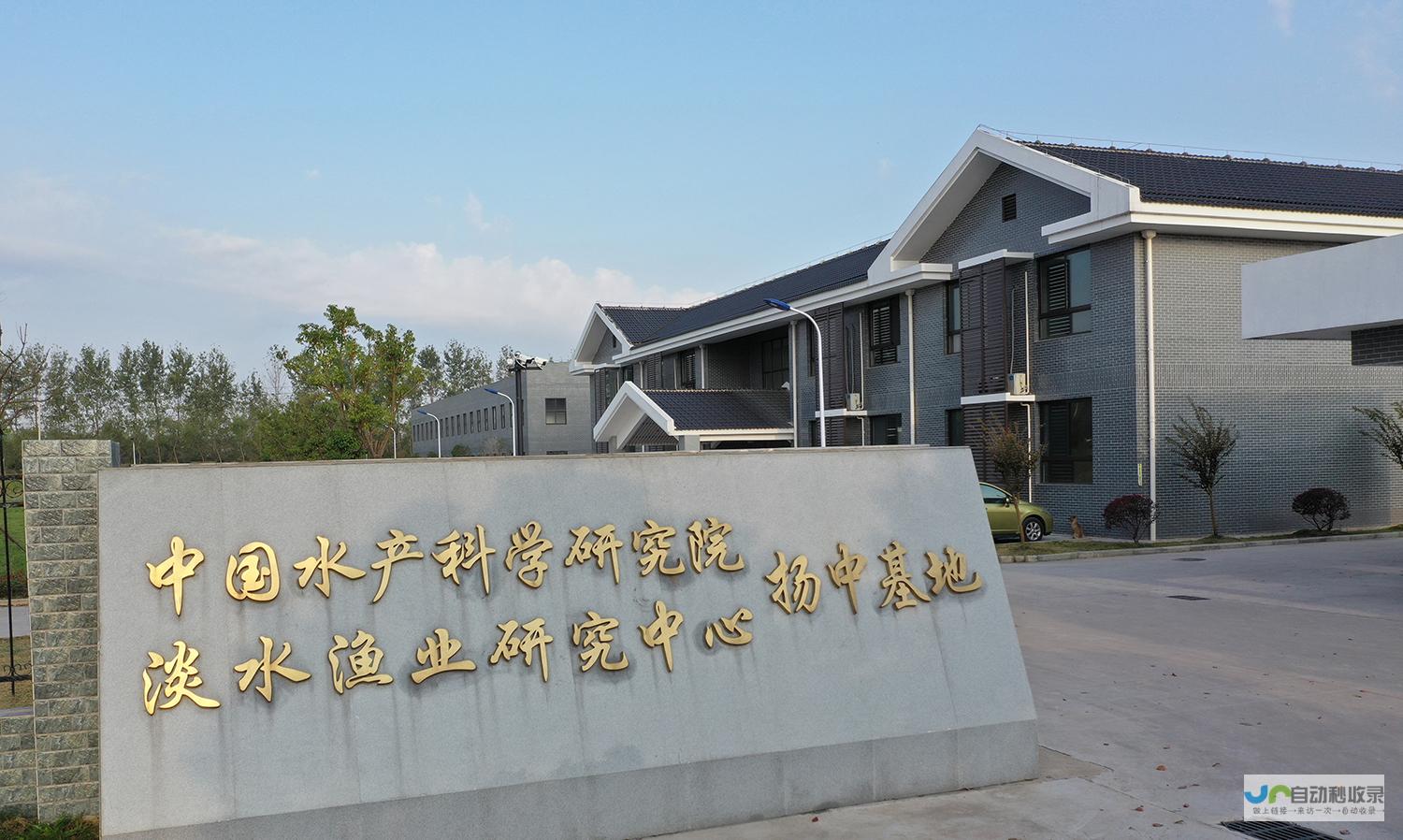 扬中网站推广：打造线上品牌形象，引爆市场增长