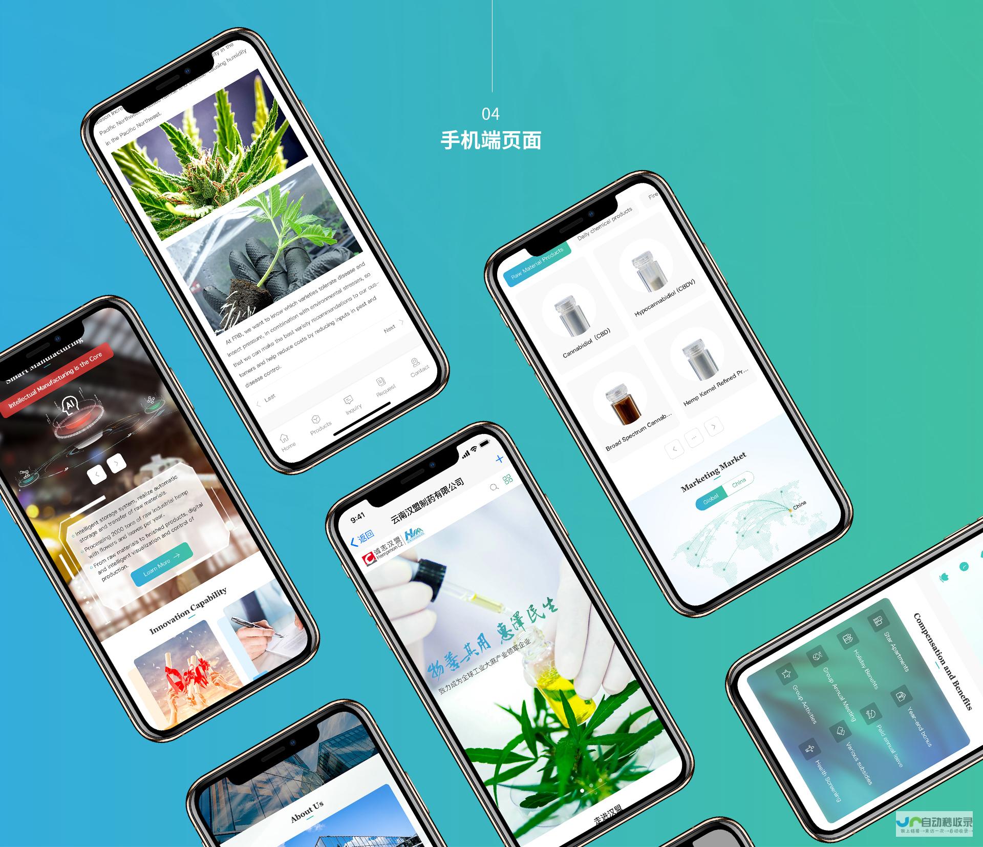 昆明网页设计服务：从创意设计到技术实现，助您轻松上线