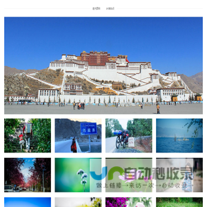追光图标